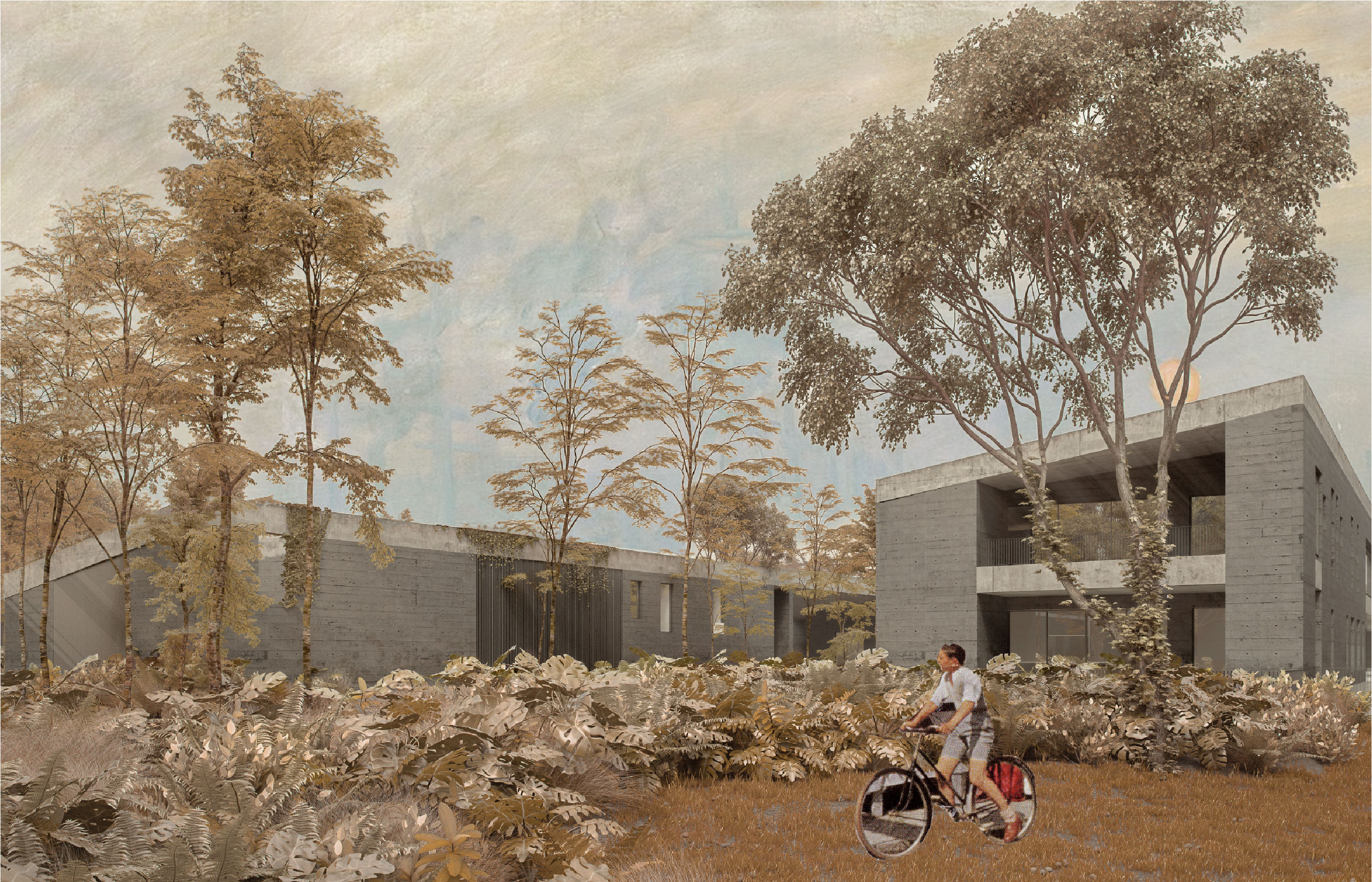 Campo exterior 2