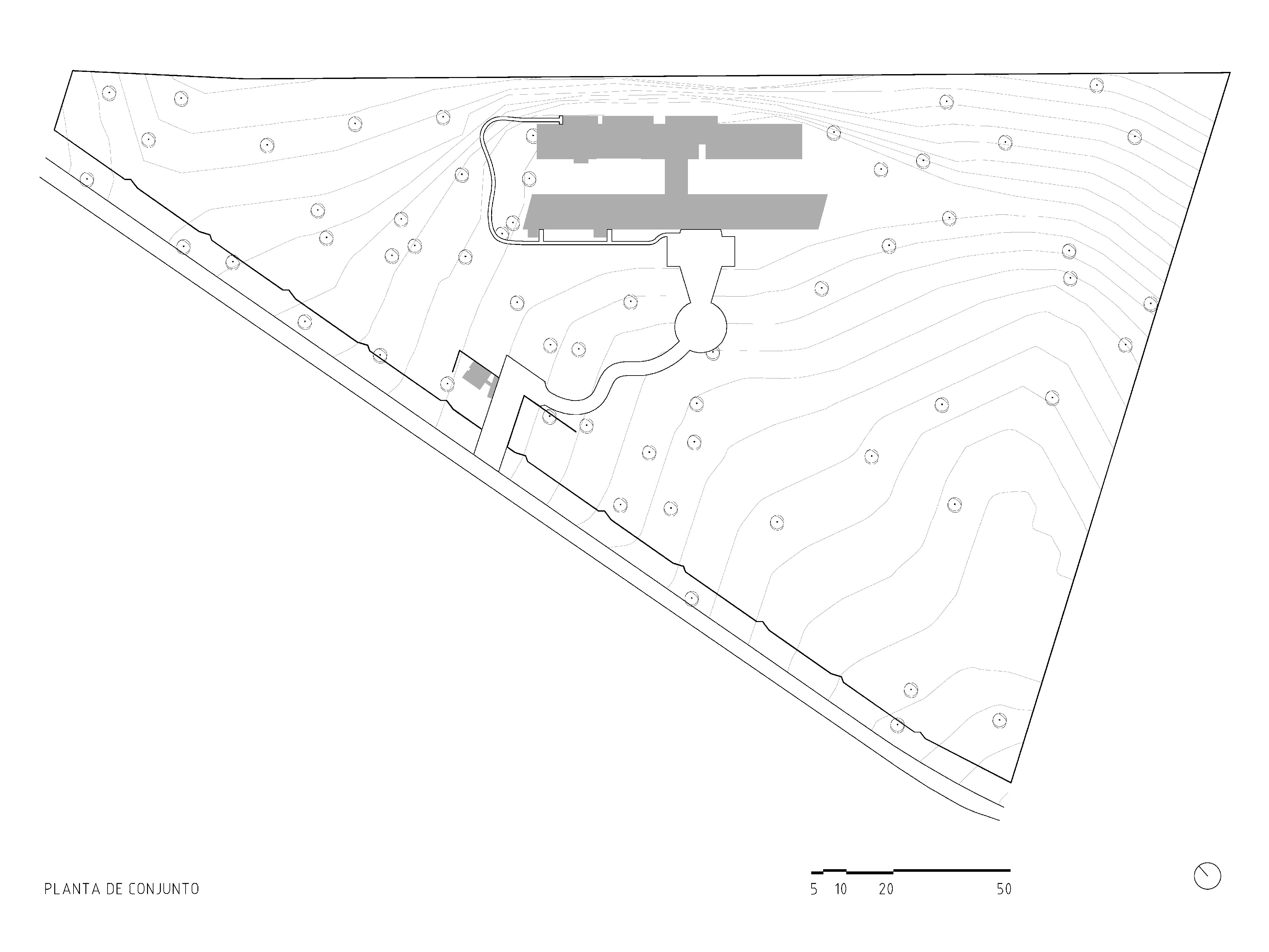 Campo plano 2
