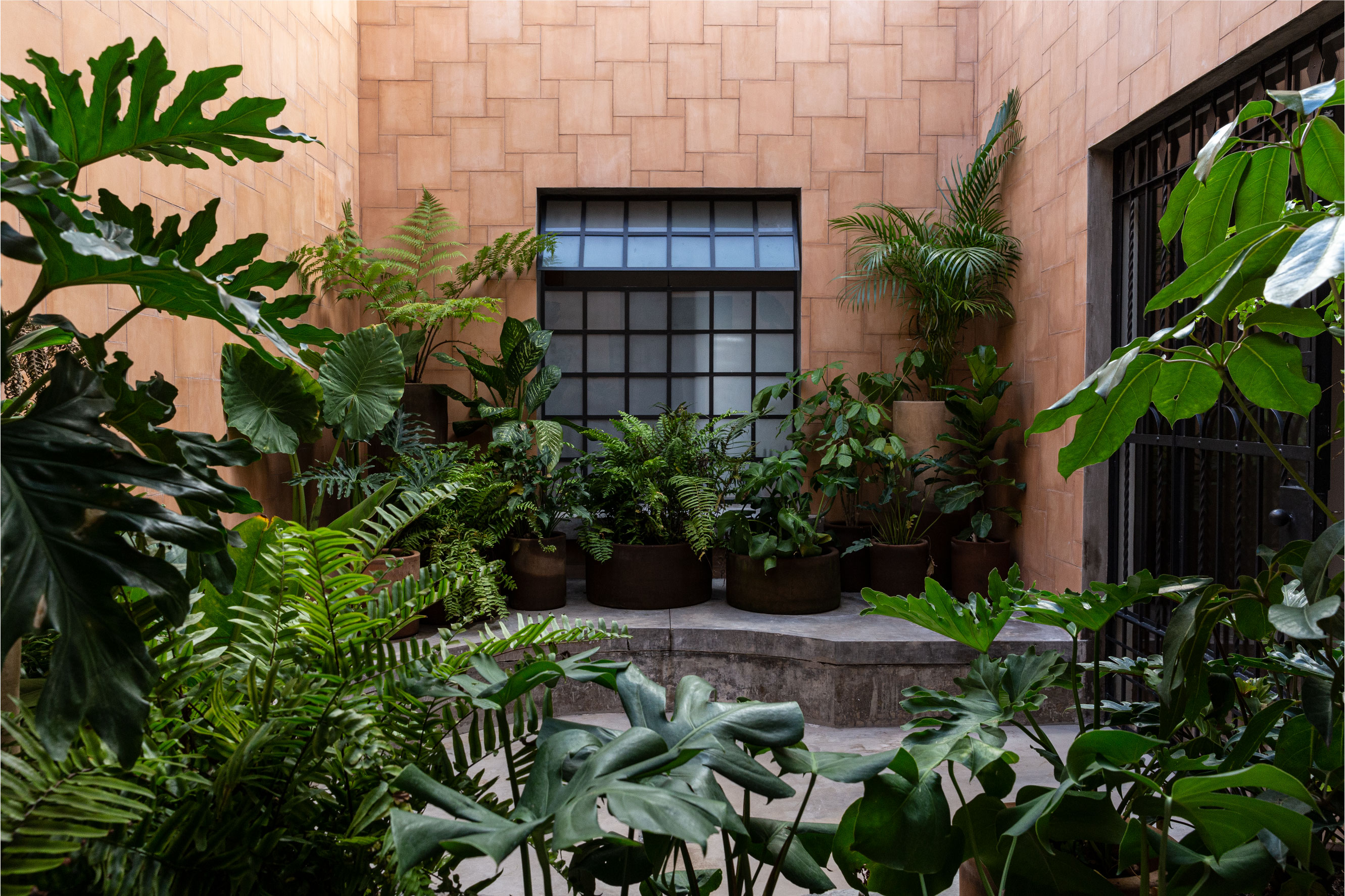 Montore patio central